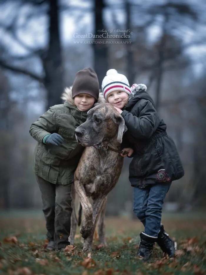 Little Kids And Their Big Dogs