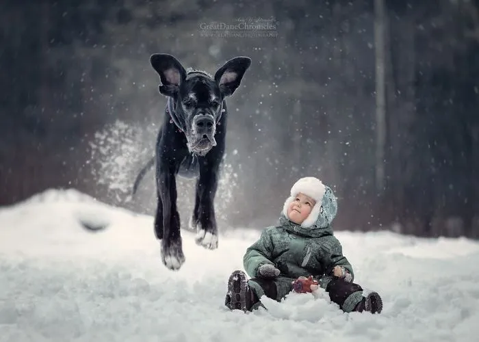 Little Kids And Their Big Dogs