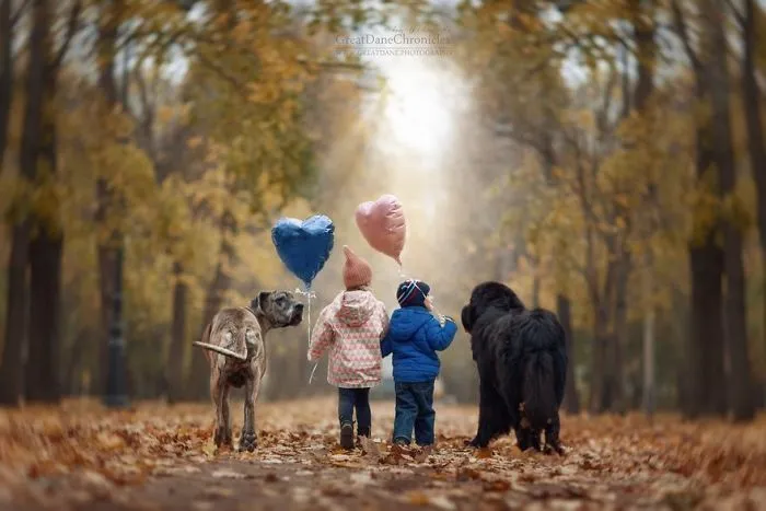 Little Kids And Their Big Dogs