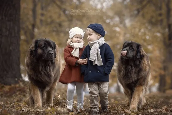 Little Kids And Their Big Dogs