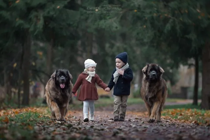 Little Kids And Their Big Dogs