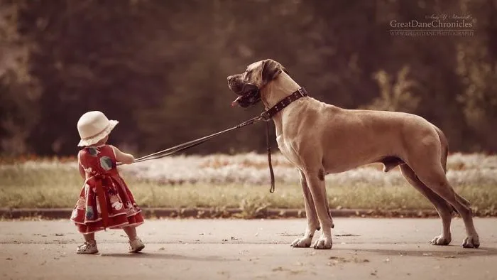 Little Kids And Their Big Dogs