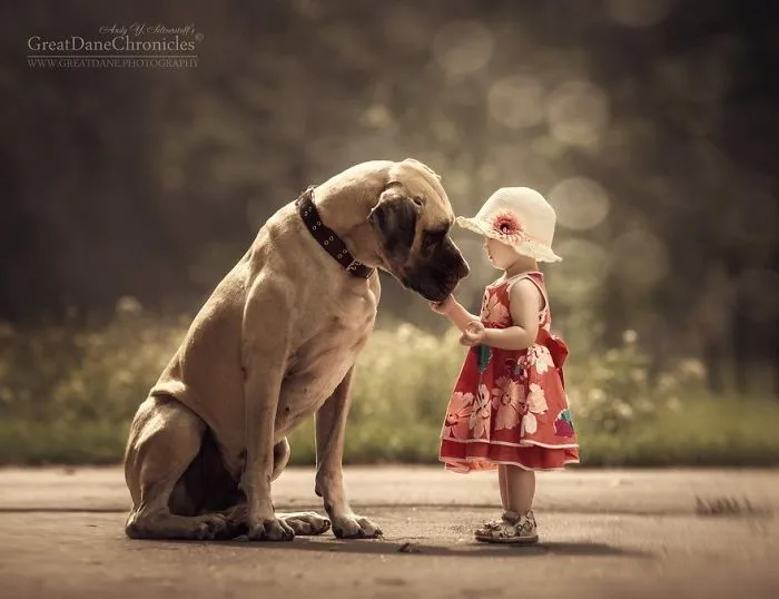 Little Kids And Their Big Dogs