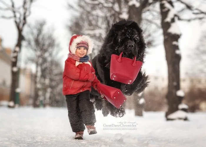 Little Kids And Their Big Dogs