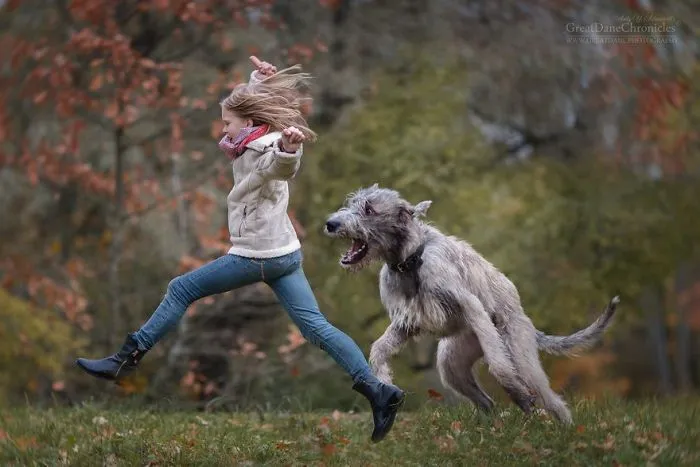 Little Kids And Their Big Dogs