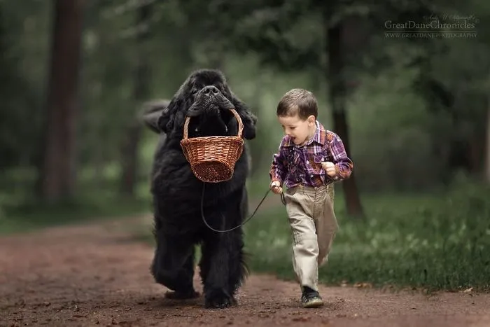 Little Kids And Their Big Dogs