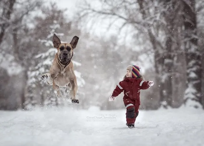 Little Kids And Their Big Dogs
