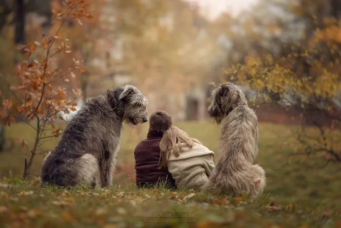 Little Kids And Their Big Dogs