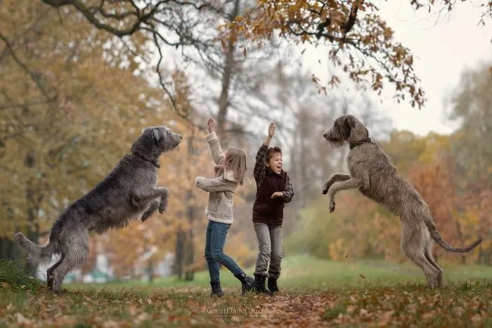 Little Kids And Their Big Dogs