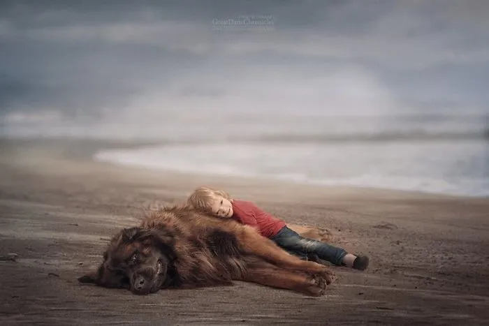 Little Kids And Their Big Dogs