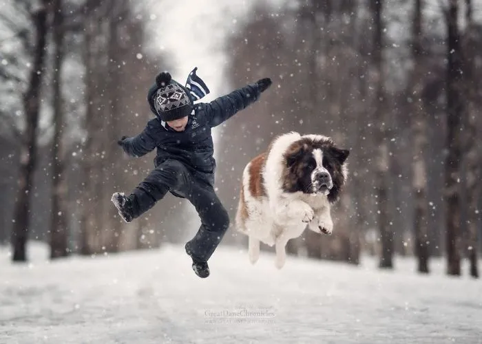 Little Kids And Their Big Dogs