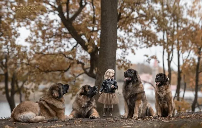 Little Kids And Their Big Dogs