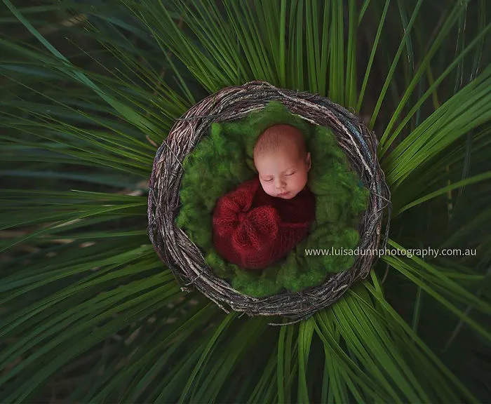 77 Babies Celebrating Their First Ever Christmas