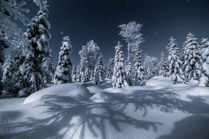 104 Reasons Why Lapland Is The Most Magical Place To Celebrate Christmas