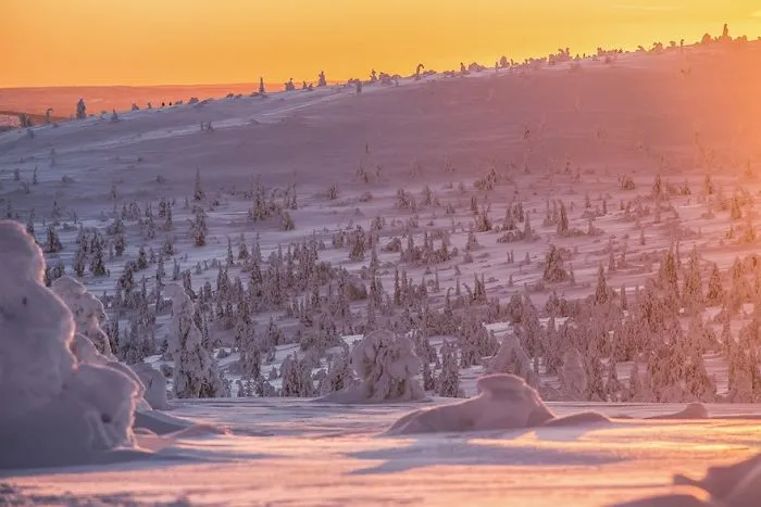 104 Reasons Why Lapland Is The Most Magical Place To Celebrate Christmas