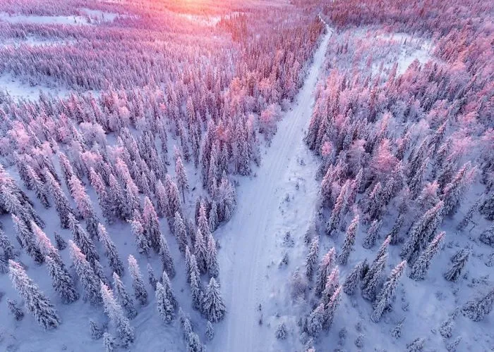 104 Reasons Why Lapland Is The Most Magical Place To Celebrate Christmas