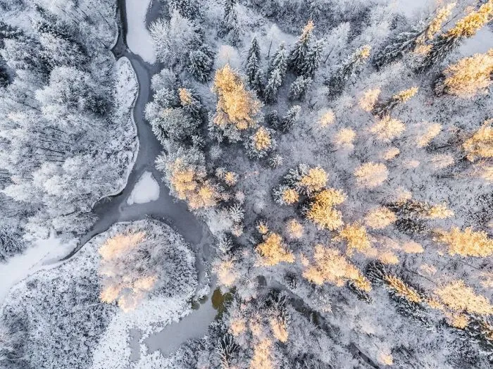 104 Reasons Why Lapland Is The Most Magical Place To Celebrate Christmas