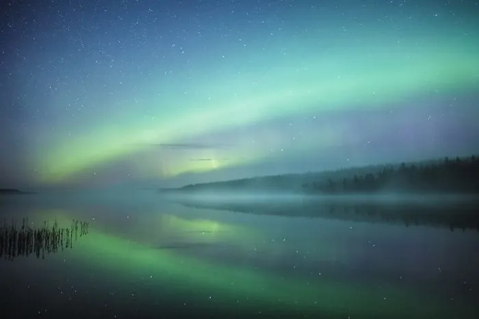 104 Reasons Why Lapland Is The Most Magical Place To Celebrate Christmas