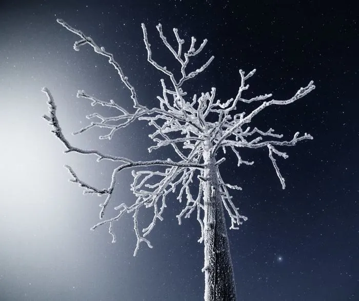 104 Reasons Why Lapland Is The Most Magical Place To Celebrate Christmas
