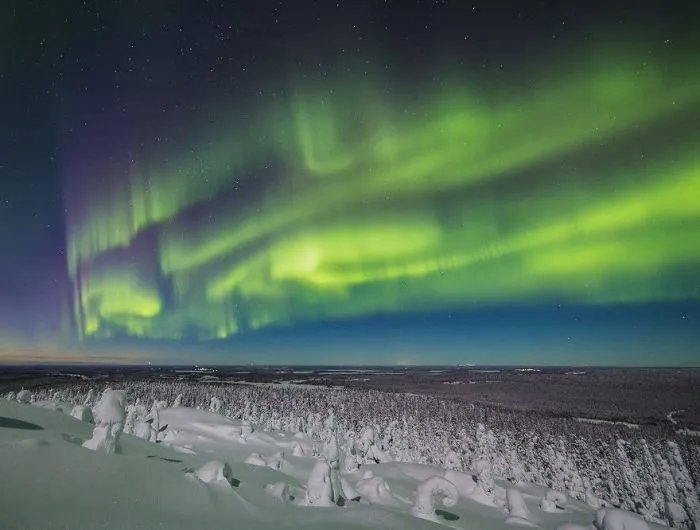104 Reasons Why Lapland Is The Most Magical Place To Celebrate Christmas
