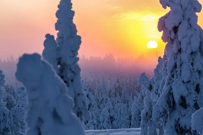 104 Reasons Why Lapland Is The Most Magical Place To Celebrate Christmas