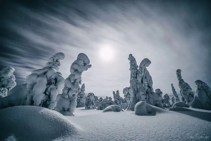 104 Reasons Why Lapland Is The Most Magical Place To Celebrate Christmas