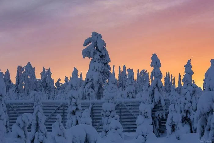 104 Reasons Why Lapland Is The Most Magical Place To Celebrate Christmas