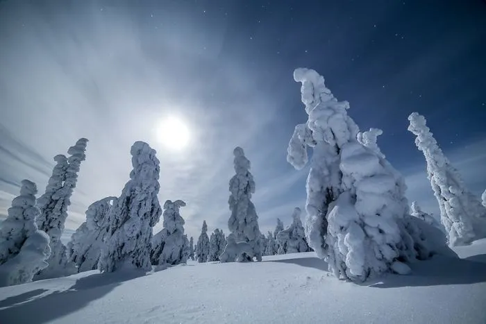 104 Reasons Why Lapland Is The Most Magical Place To Celebrate Christmas