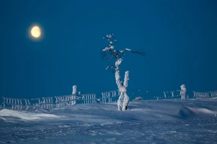 104 Reasons Why Lapland Is The Most Magical Place To Celebrate Christmas