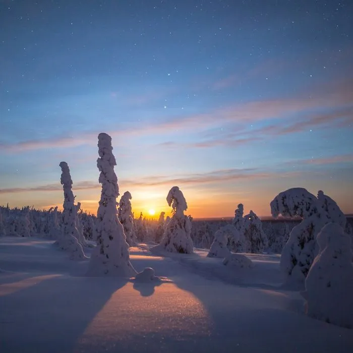 104 Reasons Why Lapland Is The Most Magical Place To Celebrate Christmas