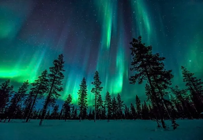 104 Reasons Why Lapland Is The Most Magical Place To Celebrate Christmas