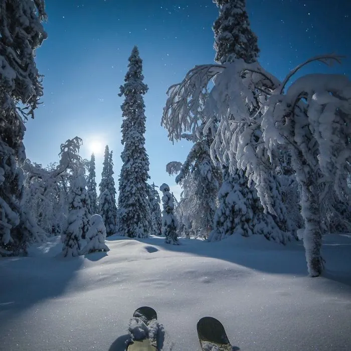 104 Reasons Why Lapland Is The Most Magical Place To Celebrate Christmas