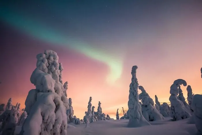104 Reasons Why Lapland Is The Most Magical Place To Celebrate Christmas
