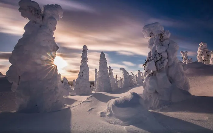 104 Reasons Why Lapland Is The Most Magical Place To Celebrate Christmas