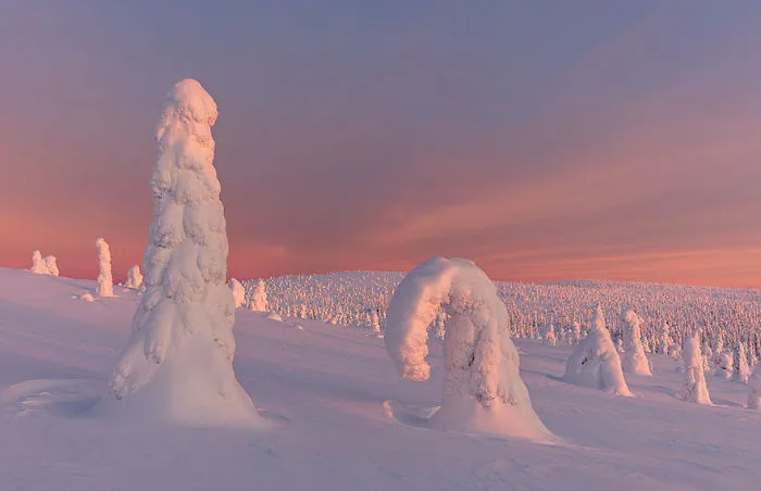 104 Reasons Why Lapland Is The Most Magical Place To Celebrate Christmas