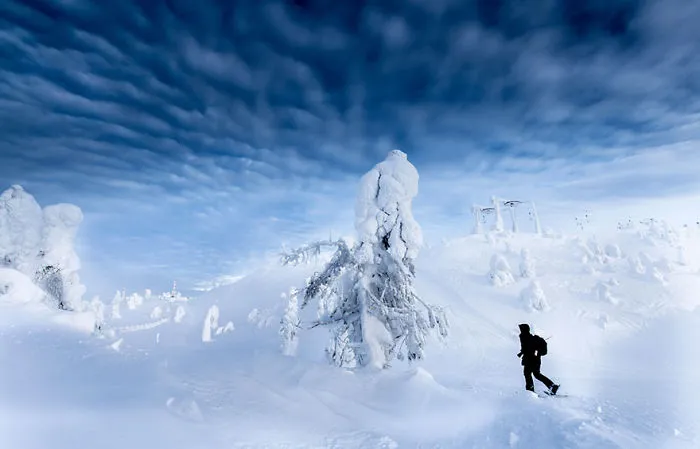 104 Reasons Why Lapland Is The Most Magical Place To Celebrate Christmas