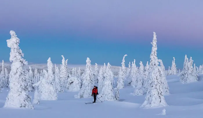 104 Reasons Why Lapland Is The Most Magical Place To Celebrate Christmas
