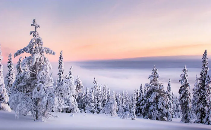 104 Reasons Why Lapland Is The Most Magical Place To Celebrate Christmas