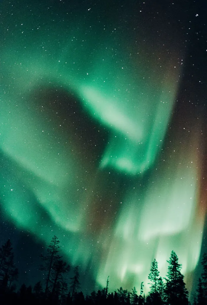 104 Reasons Why Lapland Is The Most Magical Place To Celebrate Christmas
