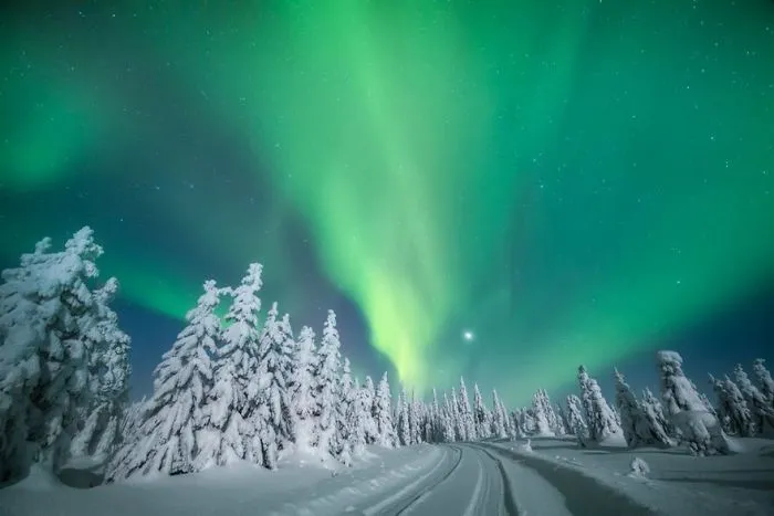 104 Reasons Why Lapland Is The Most Magical Place To Celebrate Christmas