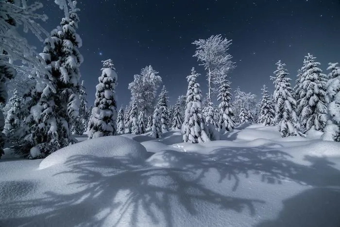 104 Reasons Why Lapland Is The Most Magical Place To Celebrate Christmas