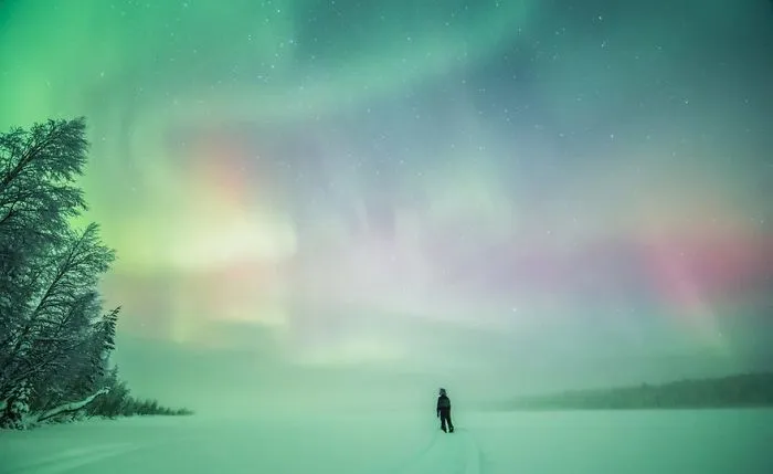 104 Reasons Why Lapland Is The Most Magical Place To Celebrate Christmas