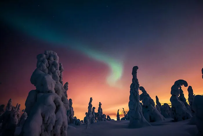 104 Reasons Why Lapland Is The Most Magical Place To Celebrate Christmas