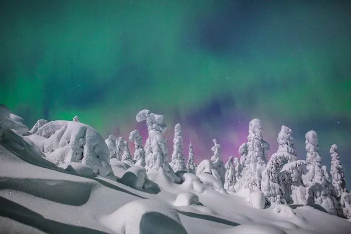 104 Reasons Why Lapland Is The Most Magical Place To Celebrate Christmas