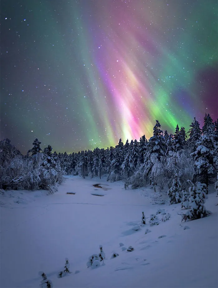104 Reasons Why Lapland Is The Most Magical Place To Celebrate Christmas