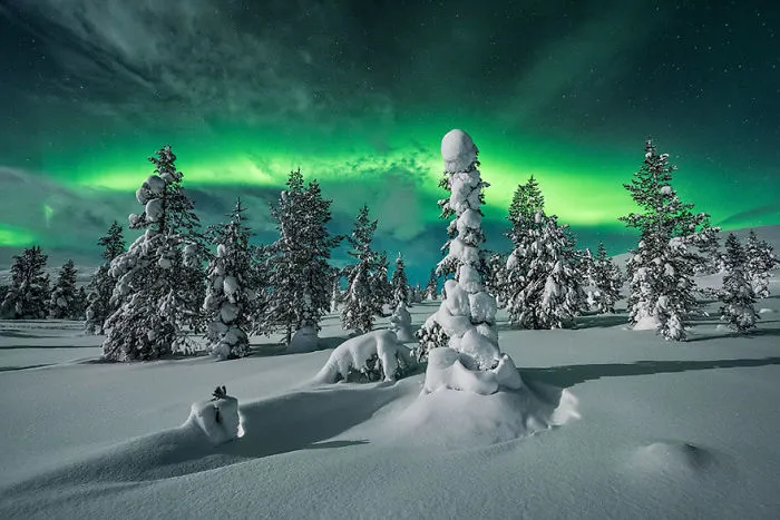 104 Reasons Why Lapland Is The Most Magical Place To Celebrate Christmas