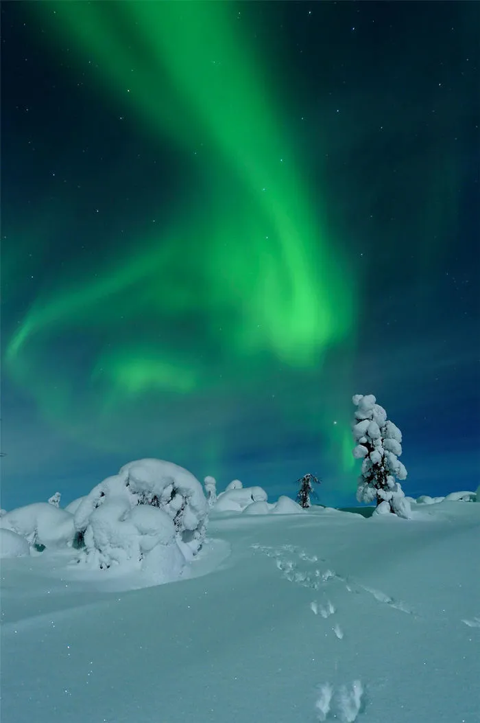 104 Reasons Why Lapland Is The Most Magical Place To Celebrate Christmas
