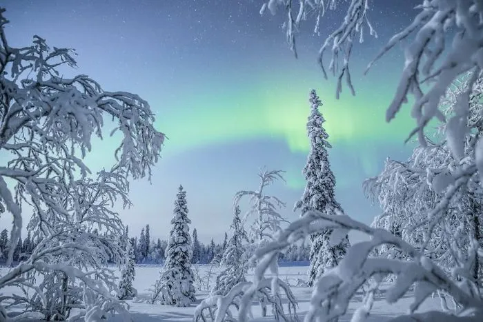 104 Reasons Why Lapland Is The Most Magical Place To Celebrate Christmas