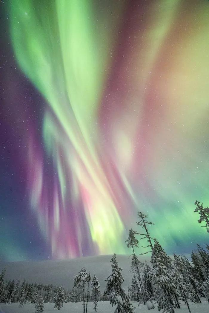 104 Reasons Why Lapland Is The Most Magical Place To Celebrate Christmas