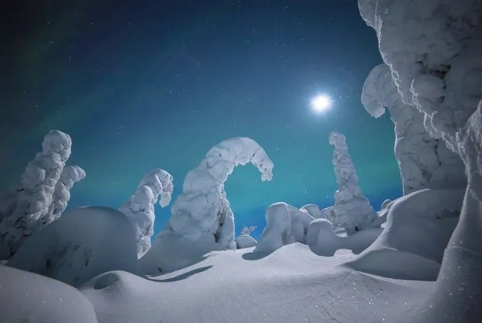 104 Reasons Why Lapland Is The Most Magical Place To Celebrate Christmas